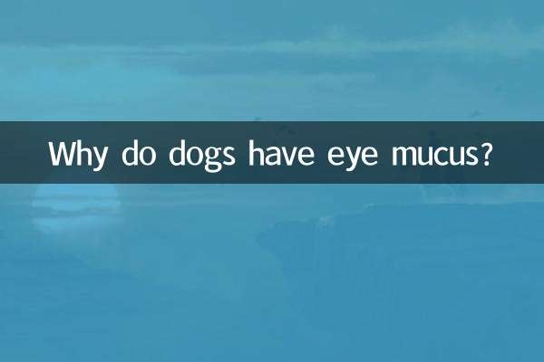 कुत्तों की आँखों में बलगम क्यों होता है?