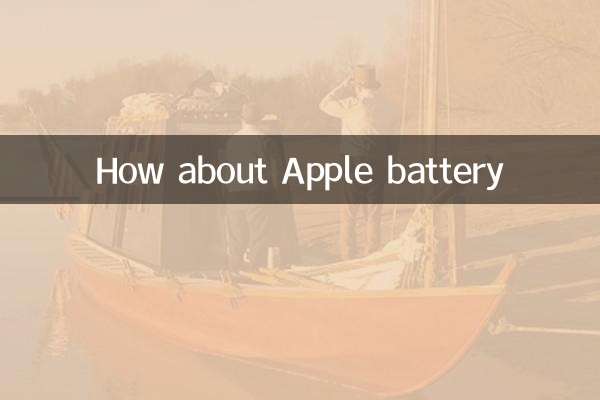 एप्पल बैटरी के बारे में क्या ख़याल है?