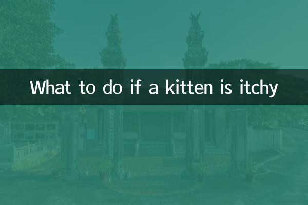 小貓身上癢怎麼辦
