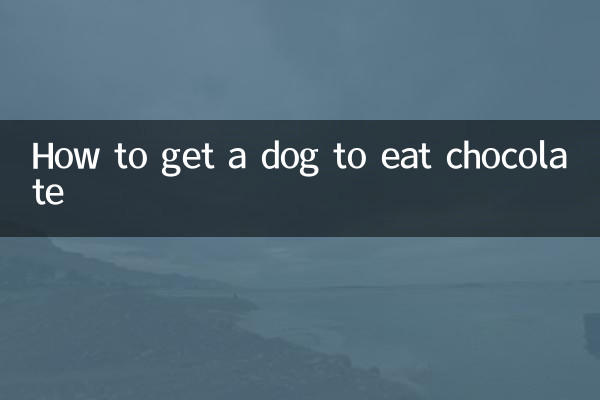 Как заставить собаку есть шоколад