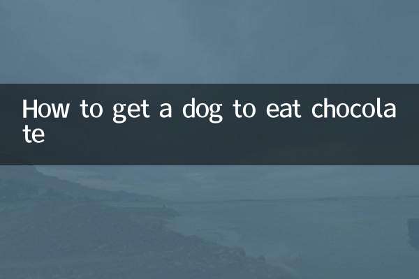 Как заставить собаку есть шоколад
