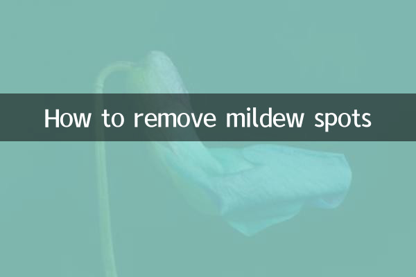 霉点怎么去除