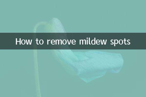霉点怎么去除