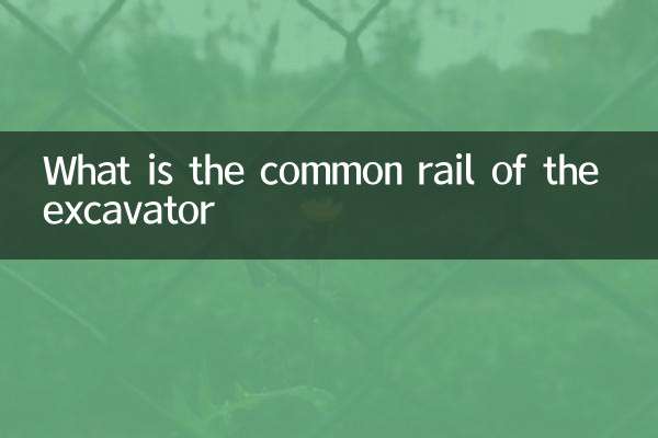 What is the common rail of the excavator