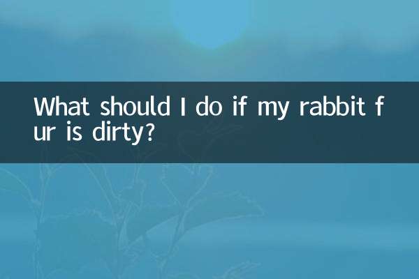 Que dois-je faire si la fourrure de mon lapin est sale ?