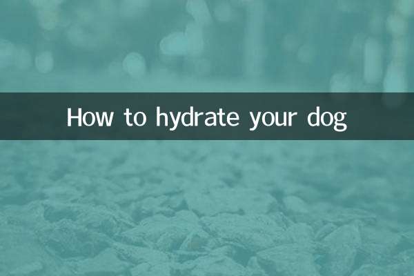 犬に水分を補給する方法