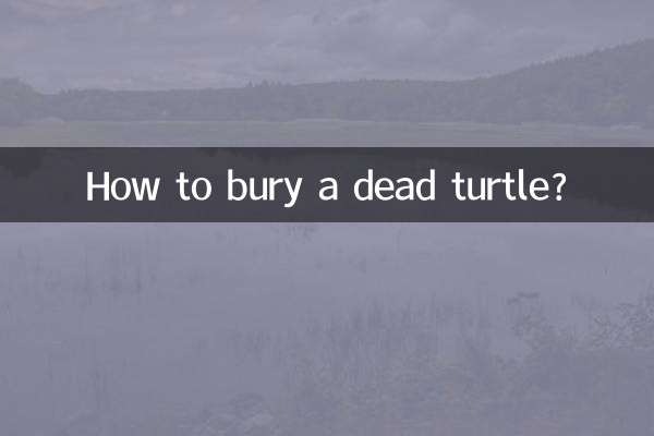 Come seppellire una tartaruga morta?