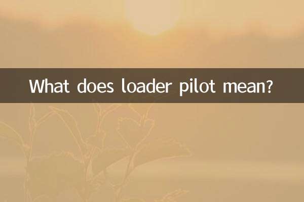 ¿Qué significa piloto de cargador?