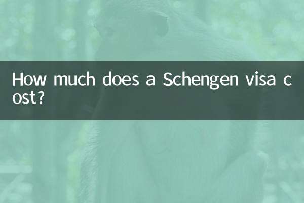 Quanto custa um visto Schengen?