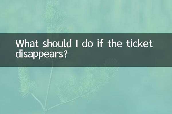 Was soll ich tun, wenn das Ticket verschwindet?