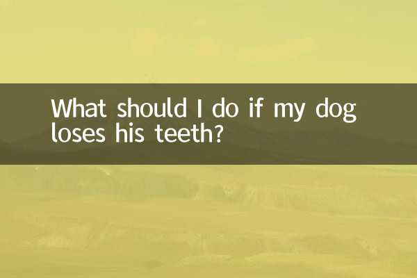 Was soll ich tun, wenn mein Hund seine Zähne verliert?