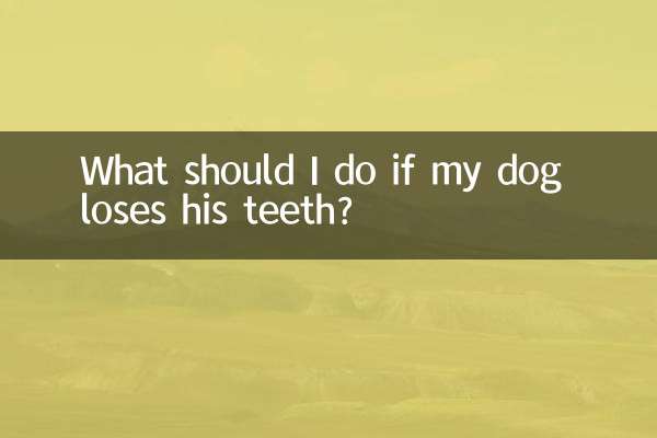 আমার কুকুর তার দাঁত হারায় আমি কি করা উচিত?