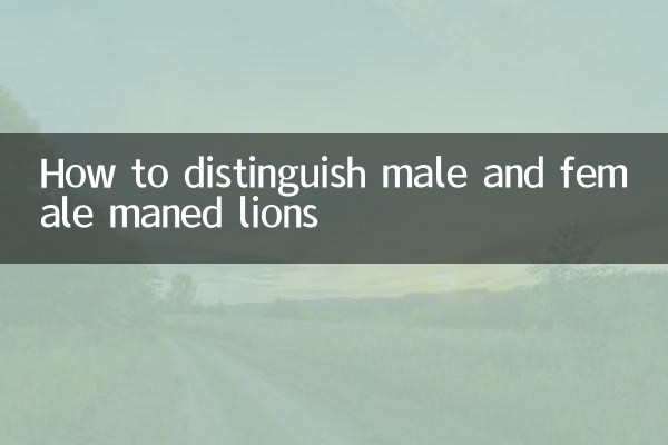 چگونه شیرهای یال دار نر و ماده را تشخیص دهیم