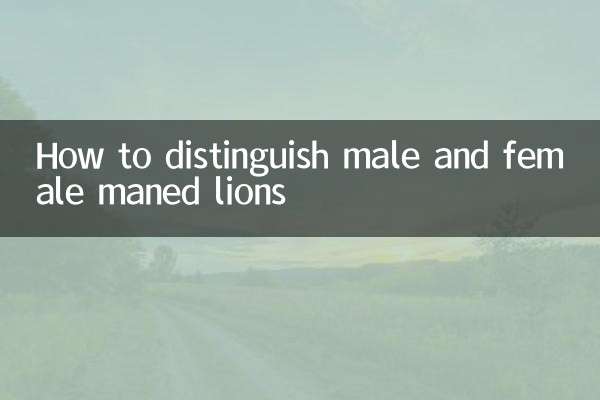 چگونه شیرهای یال دار نر و ماده را تشخیص دهیم