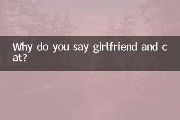 چرا میگی دوست دختر و گربه؟