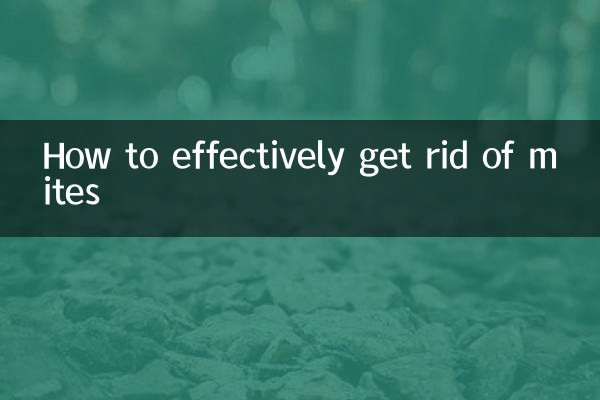 Como se livrar efetivamente dos ácaros