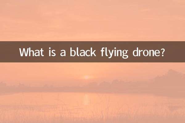 黑飛無人機是什麼