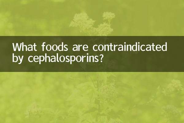 What foods are contraindicated by cephalosporins?