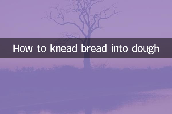 How to knead bread into dough