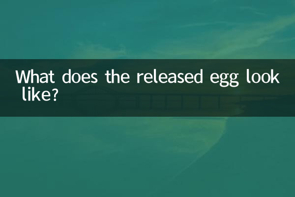 What does the released egg look like?