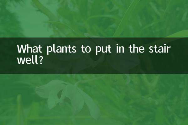 ¿Qué plantas poner en el hueco de la escalera?