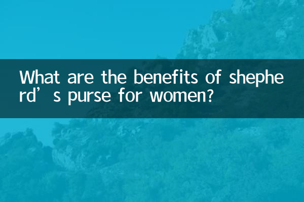 Quels sont les avantages de la bourse à pasteur pour les femmes ?