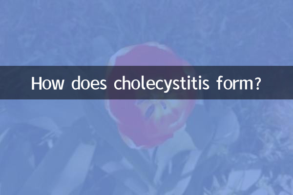 ¿Cómo se forma la colecistitis?