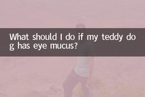 泰迪狗有眼屎怎麼辦