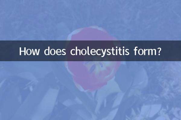 ¿Cómo se forma la colecistitis?