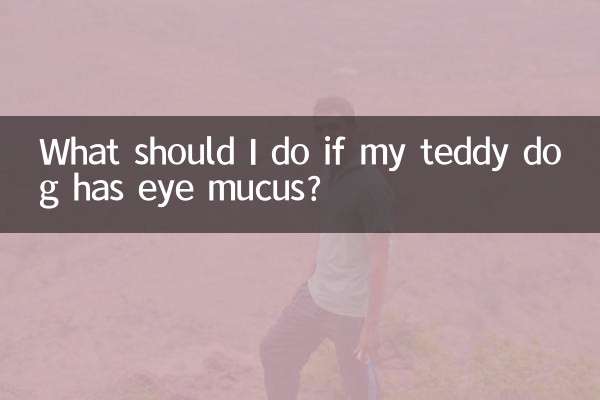 泰迪狗有眼屎怎麼辦