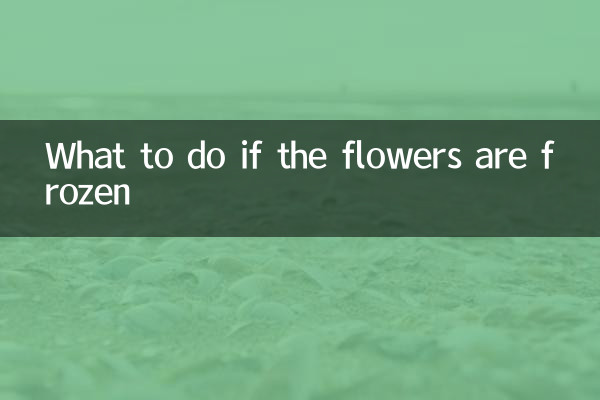 꽃이 얼면 어떻게해야합니까?