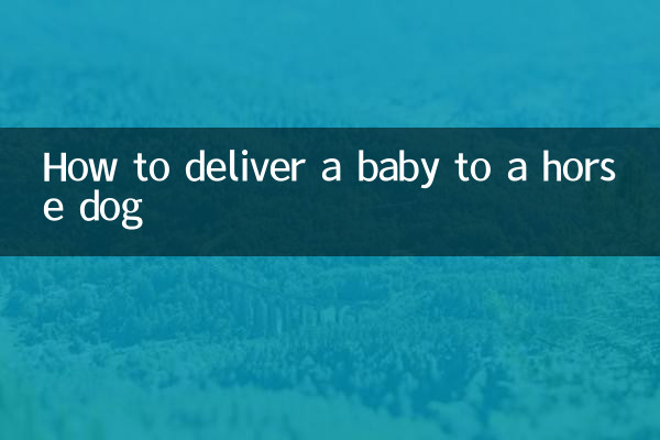 How to deliver a baby to a horse dog