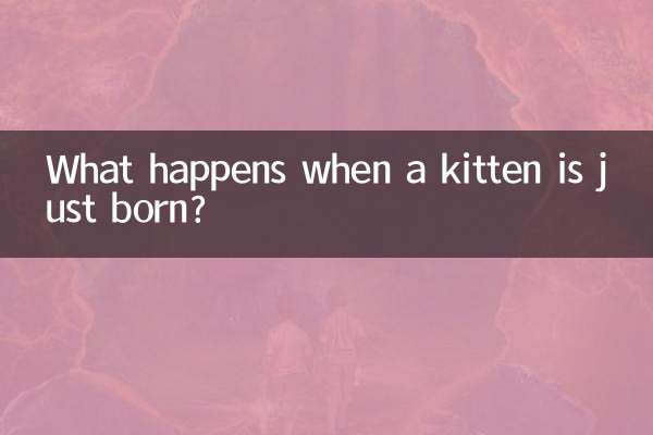 What happens when a kitten is just born?