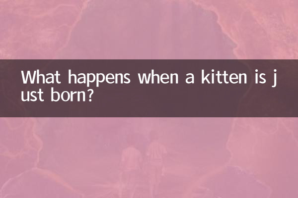 What happens when a kitten is just born?
