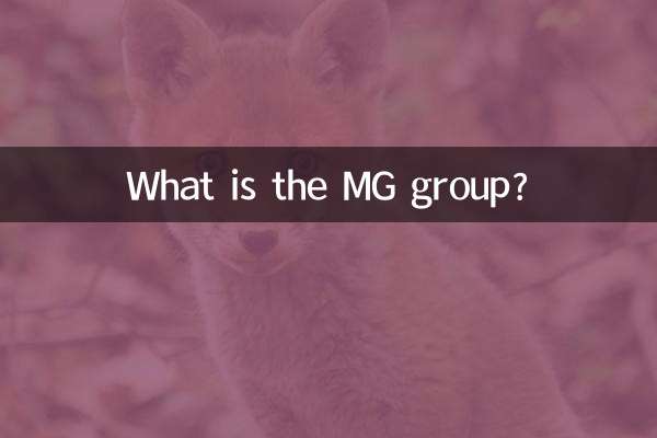 What is the MG group?