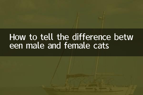 How to tell the difference between male and female cats
