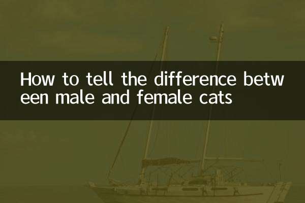 How to tell the difference between male and female cats