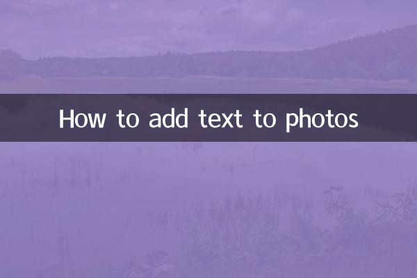 사진에 텍스트를 추가하는 방법