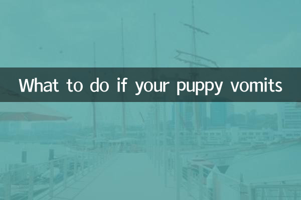 강아지가 토하면 어떻게 해야 할까요?