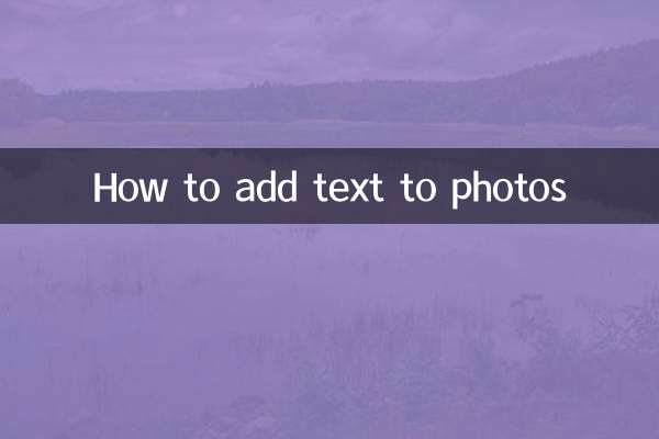 사진에 텍스트를 추가하는 방법