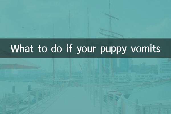 강아지가 토하면 어떻게 해야 할까요?