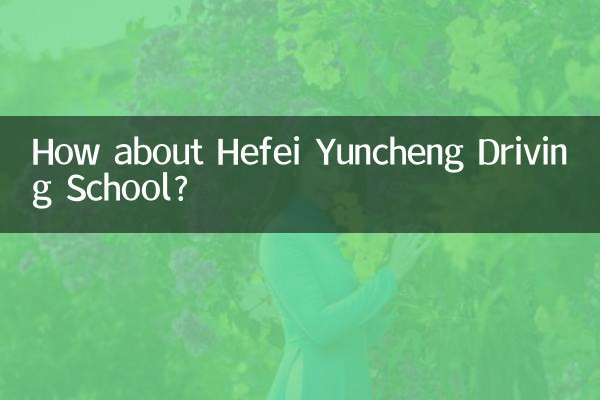 Qu'en est-il de l'école de conduite Hefei Yuncheng ?