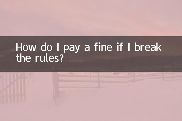 How do I pay a fine if I break the rules?