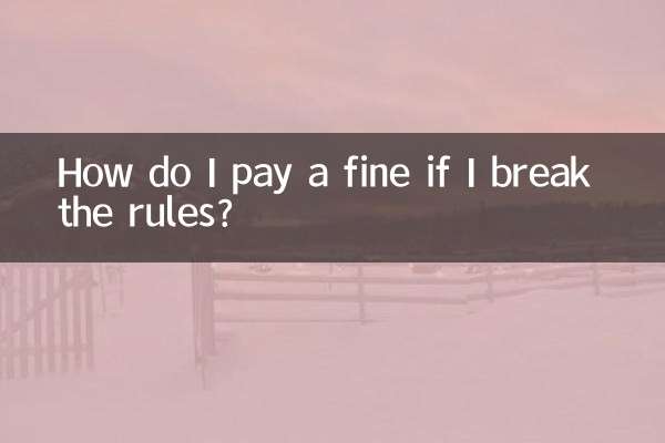 How do I pay a fine if I break the rules?