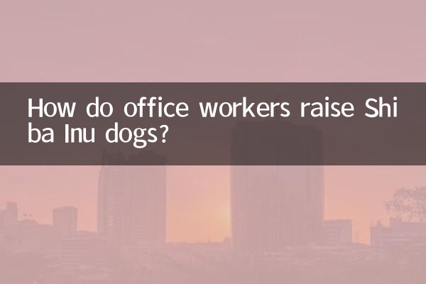 Как офисные работники выращивают собак породы Сиба-ину?