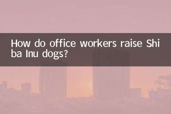 Como os funcionários de escritório criam cães Shiba Inu?