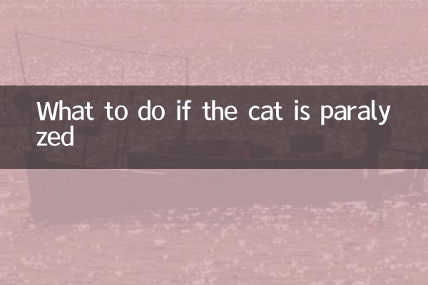 What to do if the cat is paralyzed