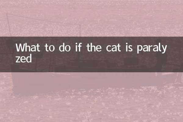 What to do if the cat is paralyzed