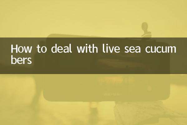 Wie man mit lebenden Seegurken umgeht