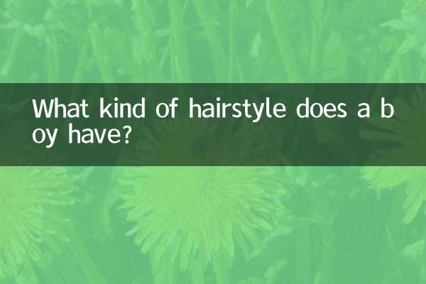 ما هو نوع تصفيفة الشعر التي يمتلكها الصبي؟
